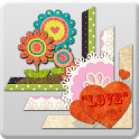 CameraAce Frames: Blossom Pack 1.0