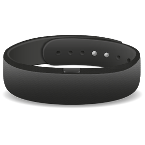 SmartBand SWR10 1.7.0.877