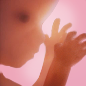 Pregnancy ++ 4.2.2