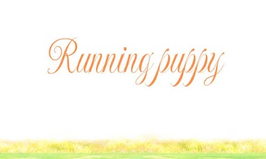Running Puppy