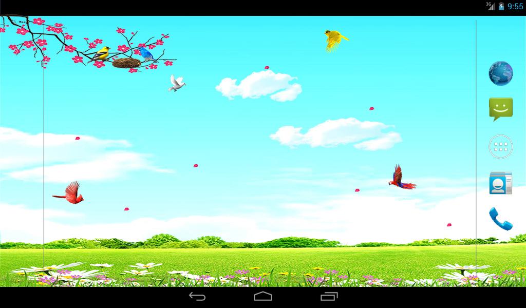 Sky Birds Live Wallpaper