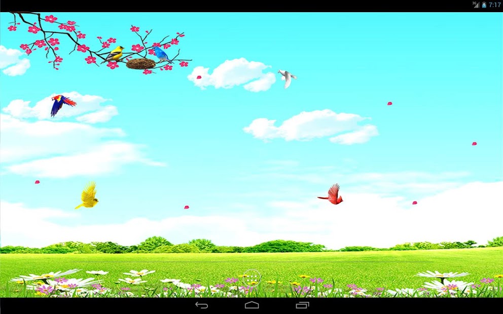 Sky Birds Live Wallpaper