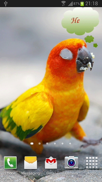 Talking Parrot 2