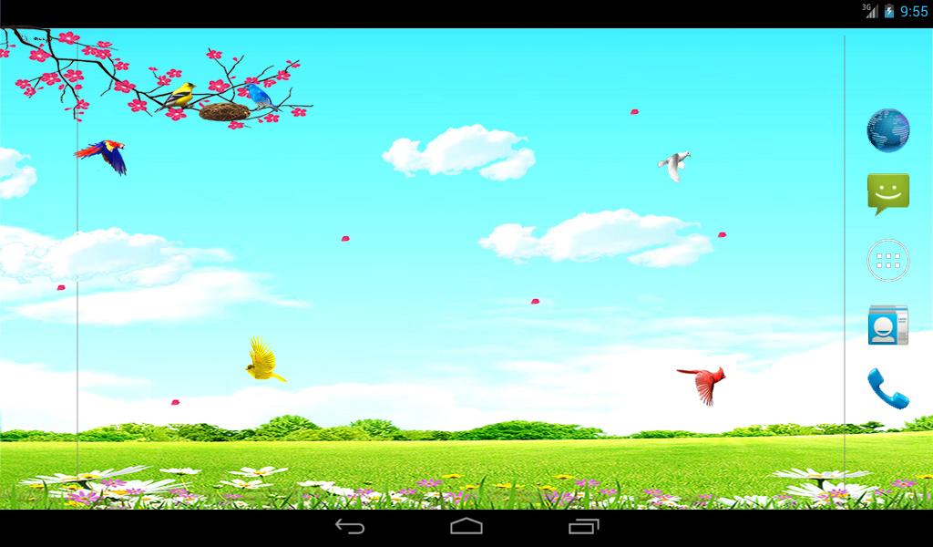 Sky Birds Live Wallpaper