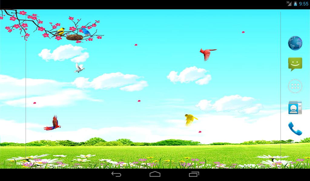 Sky Birds Live Wallpaper