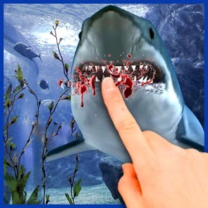 Download Touch the Shark Live Wallpaper 32 APK For Android | Appvn Android