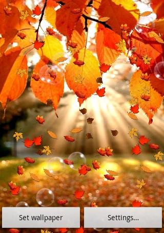 Autumn Free Live Wallpaper