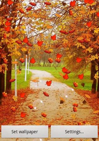 Autumn Free Live Wallpaper