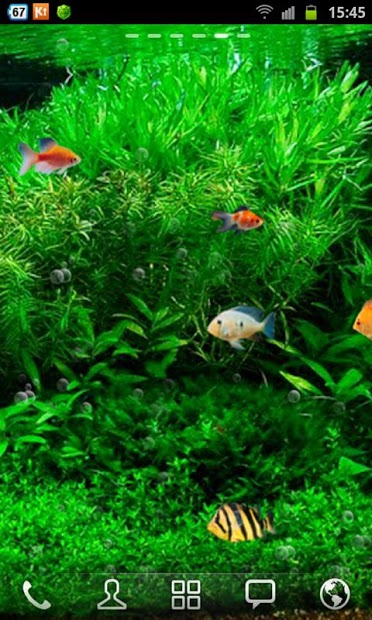 Fish Tank 3d Live Wallpaper