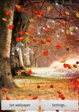 Autumn Free Live Wallpaper