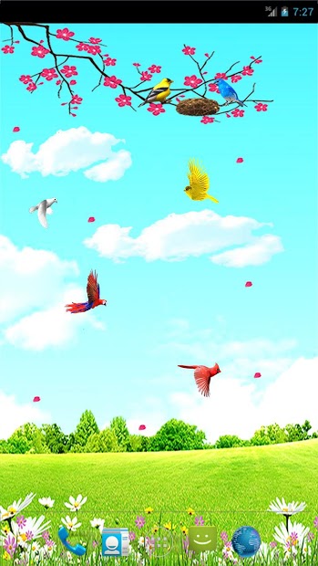 Sky Birds Live Wallpaper