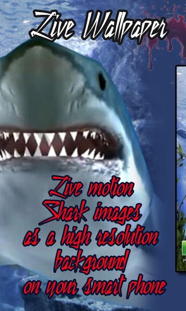 Touch the Shark Live Wallpaper