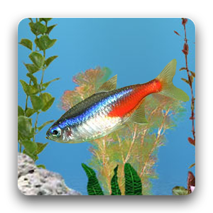 aniPet Freshwater Aquarium LWP 