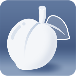 Necta Launcher(for senior)