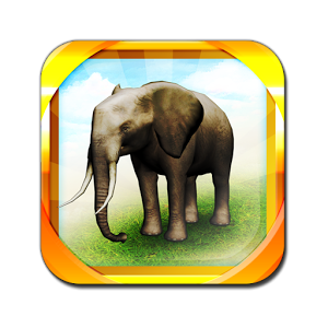 Download REAL ANIMALS HD (Full) For Android | REAL ANIMALS HD (Full) APK |  Appvn Android
