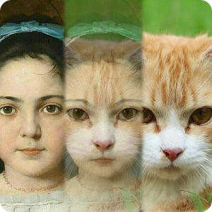 Zooface - GIF Animal Morph 1.3.5