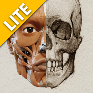 3D Anatomy for the Artist Lite 1.2.7.1