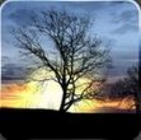 Silhouette Live Wallpaper 2.05