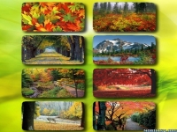 Autumn wallpaper hd 1.0