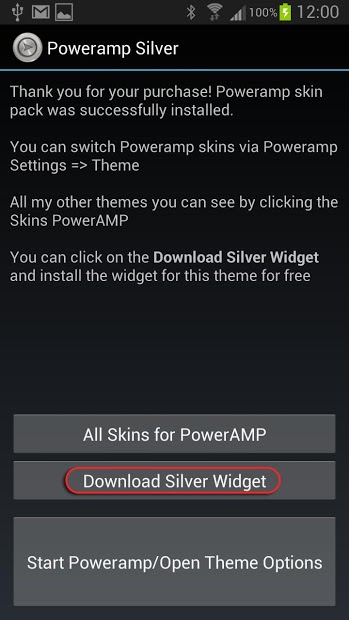 PowerAmp Skin Silver