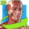 Easy Anatomy 3D(learn anatomy) 4.0