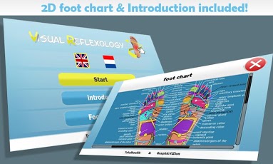 Foot Reflexology 3D