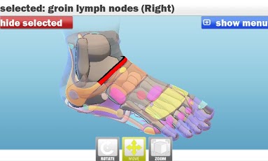 Foot Reflexology 3D