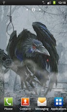 Raven on graveyard wallpaper