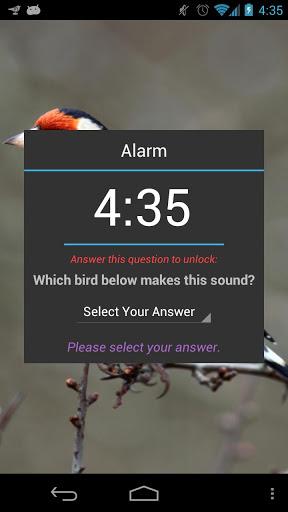 Morning Bird Alarm Clock