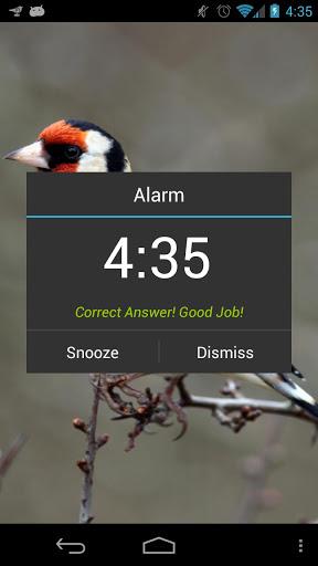 Morning Bird Alarm Clock