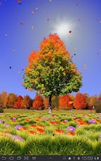 Autumn Trees Live Wallpaper