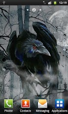 Raven on graveyard wallpaper