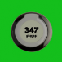 My Pedometer 1.0