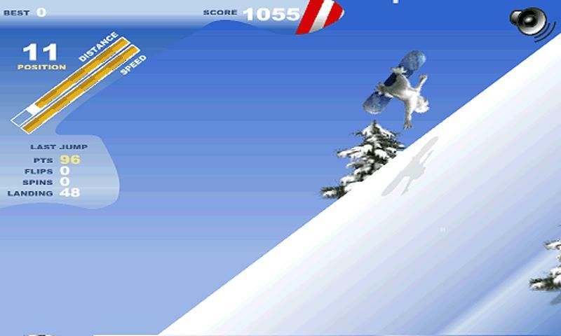 Penguin Skiing