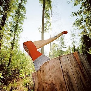 7 Days Survival: Forest 