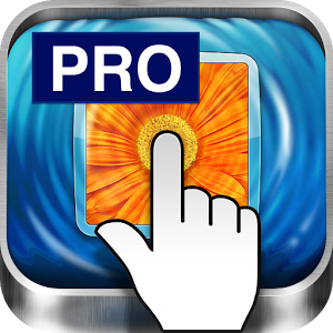 Remote Ripple PRO (TightVNC) 