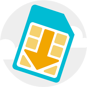eSIM Manager B.1.2.05 (4320590)