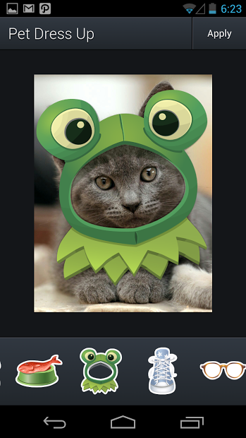 Aviary Stickers: Pet Outfits