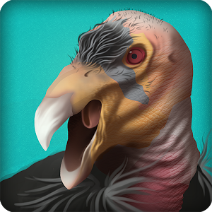 Condor Country (Mod Money) 