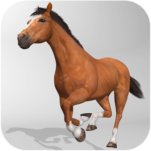 Horse Simulator 3D (Mod) 1.0.3