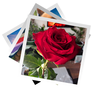 Gallery (Wear) 4.0.1