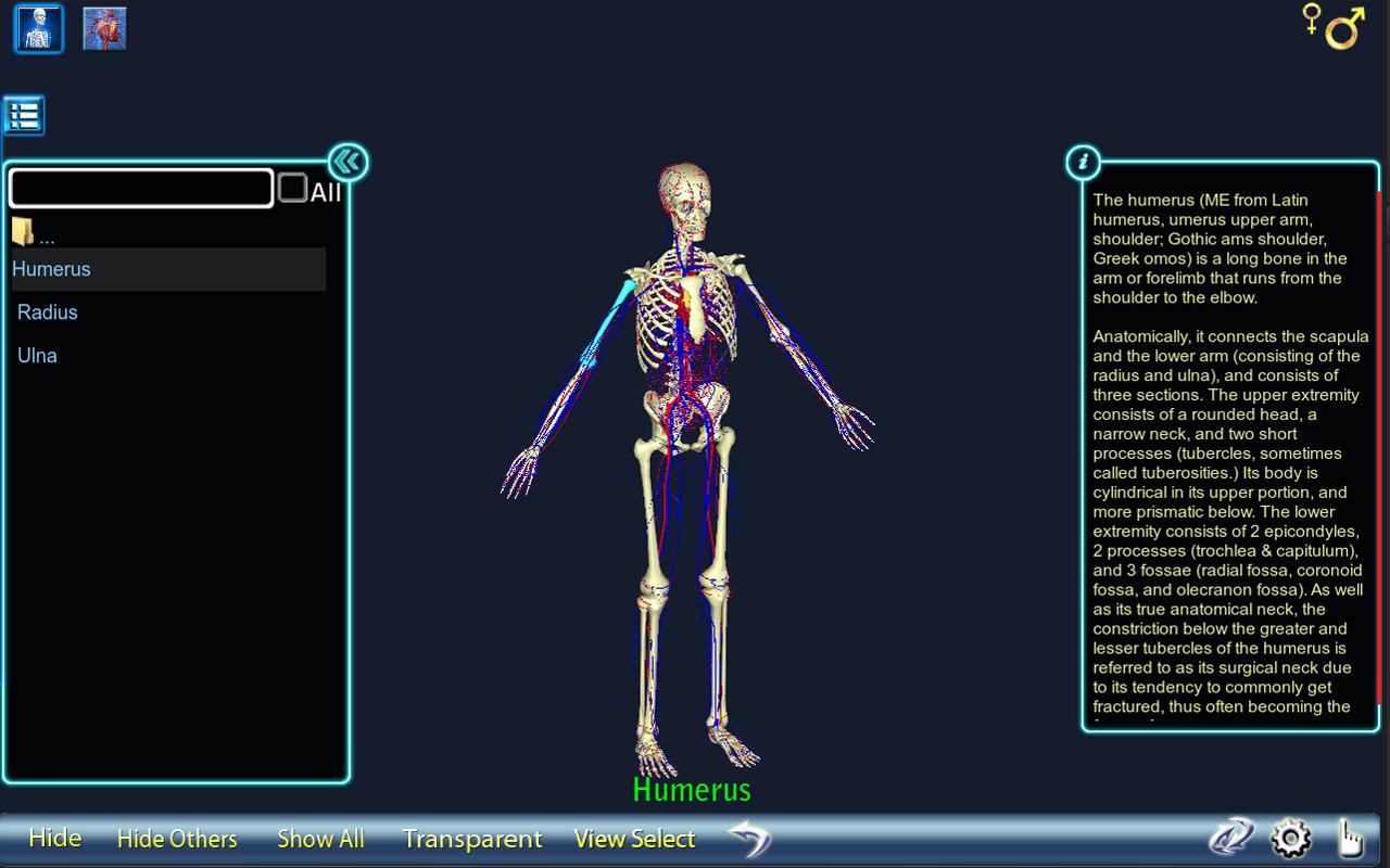 Anatomy 3D