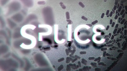 Splice