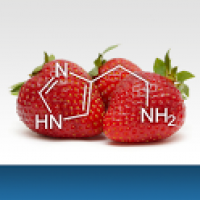 Food Intolerances 1.0