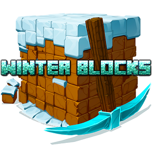 Winter Blocks 